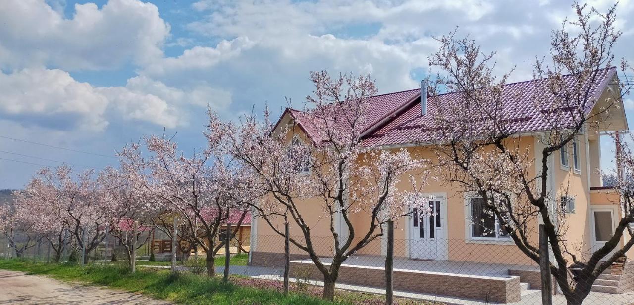Conacul Mierii Villa Straseni Kültér fotó