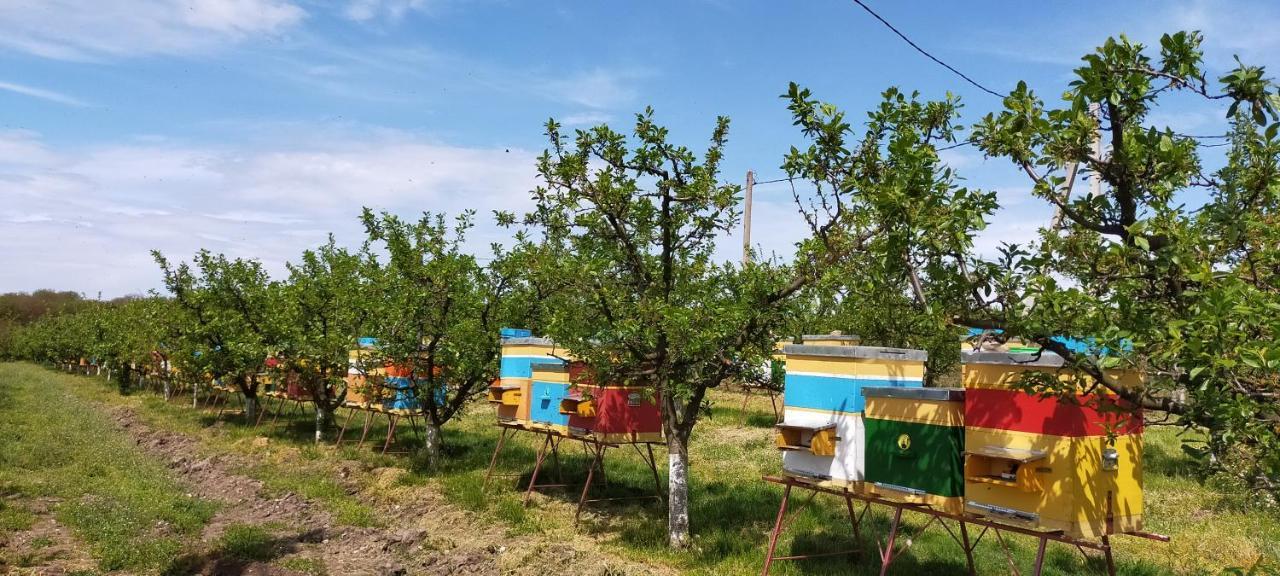 Conacul Mierii Villa Straseni Kültér fotó